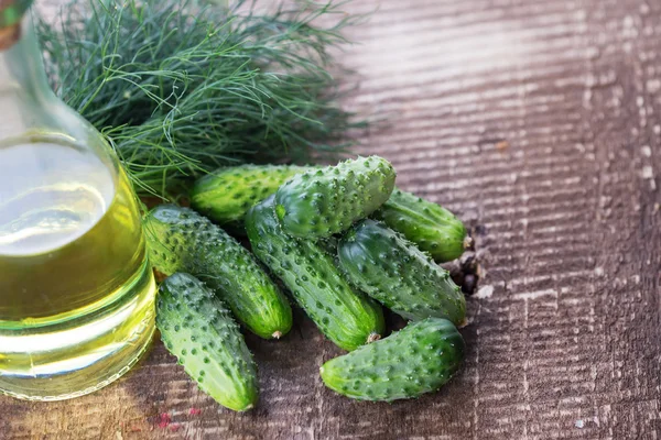 Biologische komkommers — Stockfoto