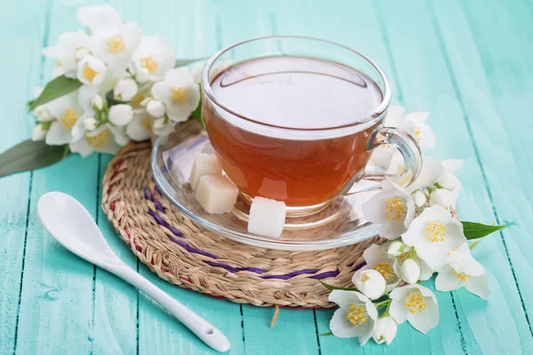Cup of fresh  tea — Stock Photo, Image