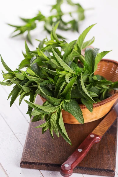 Fresh green  peppermint — Stock Photo, Image