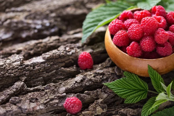 Frische Bio-Himbeeren — Stockfoto