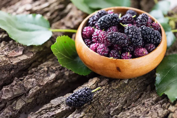 Mûrier dans un bol — Photo