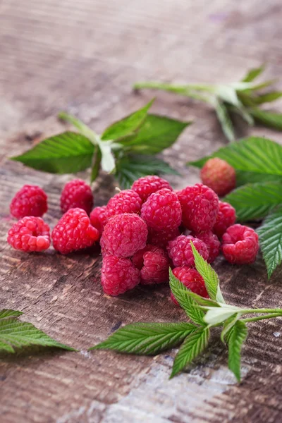 Frische Bio-Himbeeren — Stockfoto