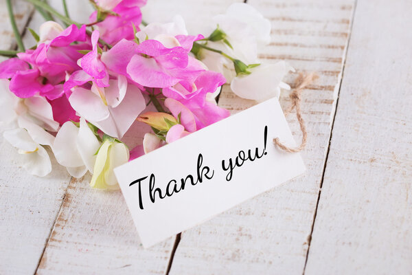 Цветы сладкого гороха и бирка
