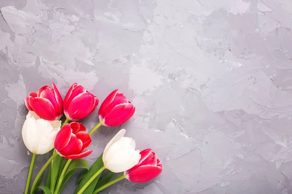 Bakgrund Med Färgglada Röda Och Vita Vårtulpaner Blommor Grått Bord — Stockfoto