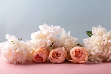 Taze romantik yaz gülleri ve şakayık çiçekleri mavi arka planda. Seçici odaklanma. Durgun hayat. Metin için yer.