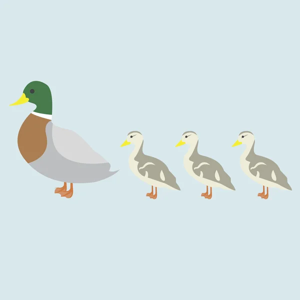 Ilustrace kachnu a 3 roztomilý kachňátko — Stockový vektor