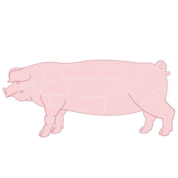 Regeling snijden varkensvlees karkas — Stockvector