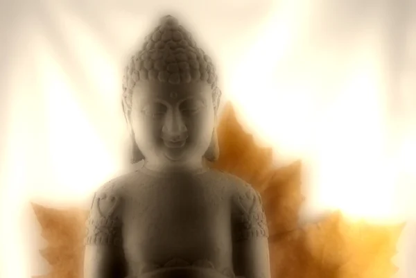 Budda kafa — Stok fotoğraf