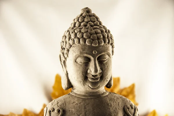 Hlava Budda — Stock fotografie