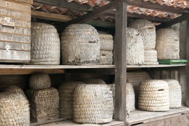 kuş yuvaları