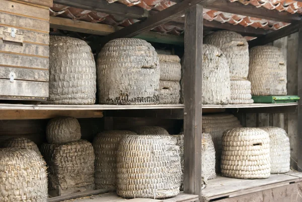 kuş yuvaları