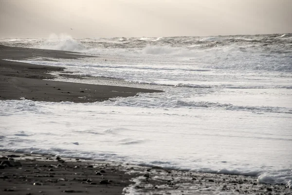 Beach — Stock Photo, Image