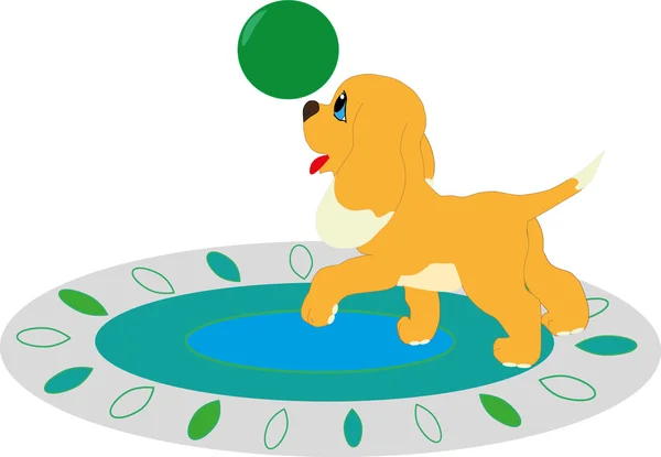 Bir top köpekle oynamayı — Stok fotoğraf
