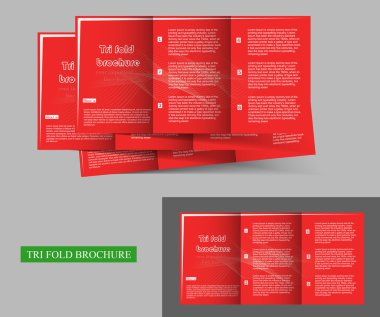 Tri fold brochure design clipart