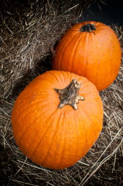 saman üzerinde iki kabaklar