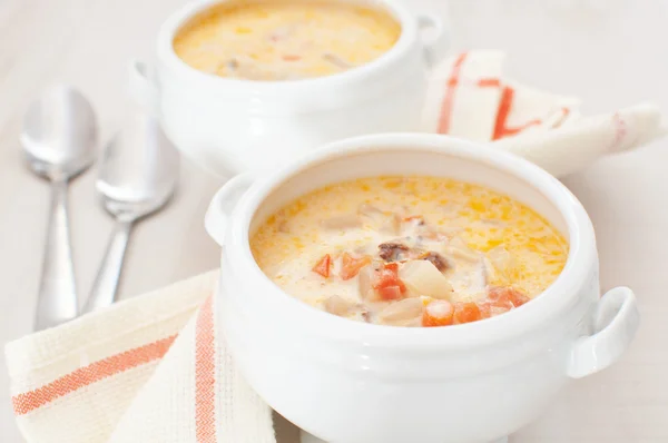 Chowder suppe med grøntsager og tung fløde - Stock-foto