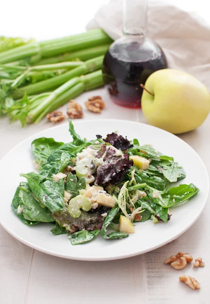 Groene salade met appels, selderij en walnoten — Stockfoto