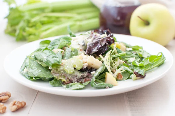 Salada verde Waldorf com maçãs e nozes — Fotografia de Stock