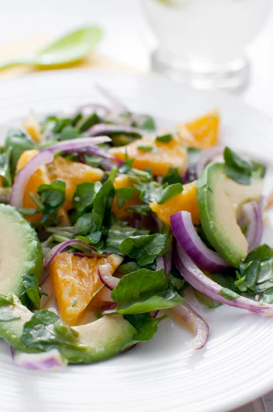 Salat mit roten Zwiebeln, Avocado und Orangen — Stockfoto