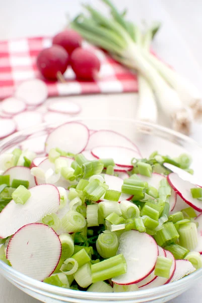 Spring salad — Stock Photo, Image