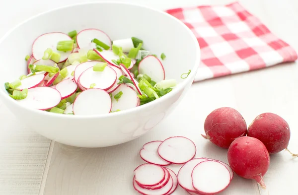 Frühlingssalat — Stockfoto