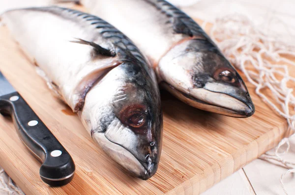 Raw mackerel fish with knife — Stock Photo, Image