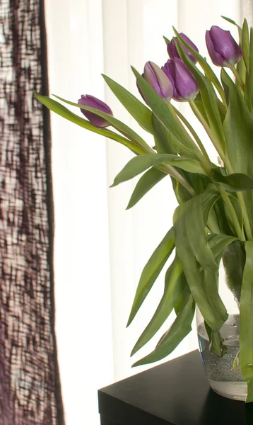 Tulipes violettes en design d'intérieur — Photo