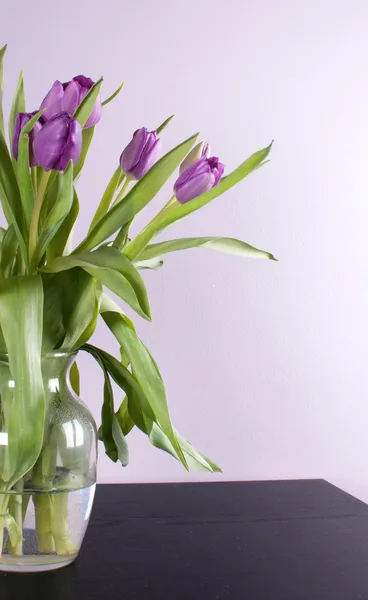 Tulipes fraîches violettes dans un vase en verre — Photo