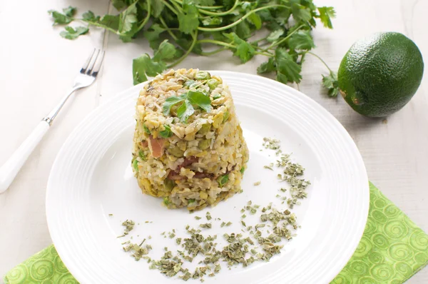 Arroz con verduras y hierbas verdes — Foto de Stock