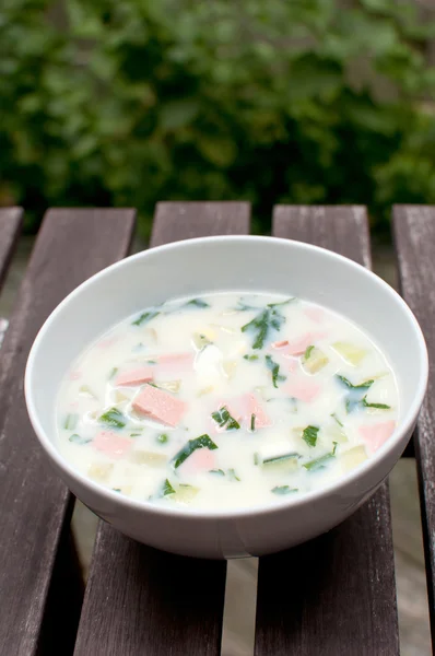 Russian traditional cold summer soup — Stock Photo, Image