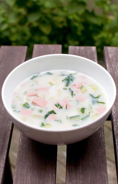 Summer cold russian soup — Stock Photo, Image