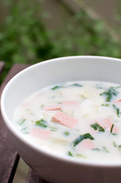 Cold summer soup with vegetables — Stock Photo, Image