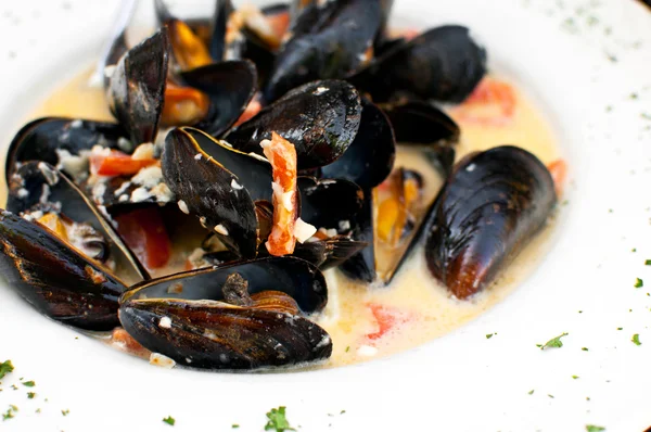 Placa de mejillones en salsa de ajo — Foto de Stock