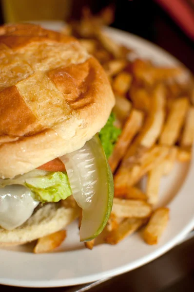 ハンバーガーのピクルスとフレンチ フライ — ストック写真