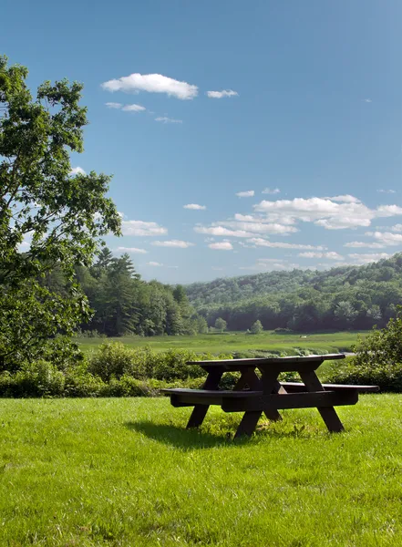 緑の草に木製のピクニック用のテーブル — ストック写真