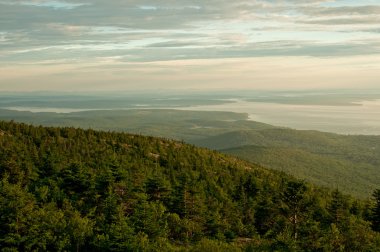 Sunrise orman ve bulutlar ile ışık