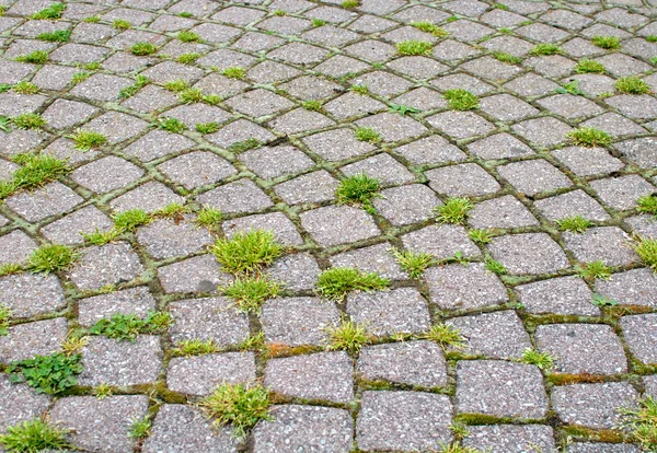 Кам'яна асфальтована дорога з травою — стокове фото