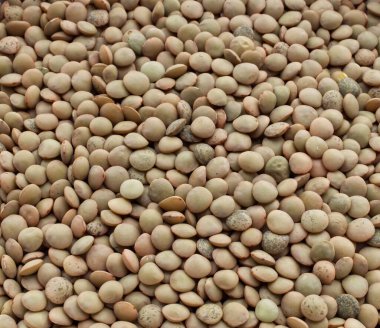 En üstten pişmemiş mercimek görünümünün arkaplanı