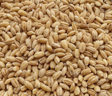 Doğal arpa taneciklerinin arka planı tepeden görünüyor