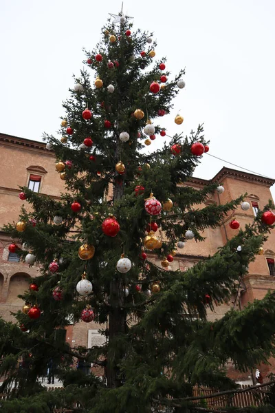 Pinheiro Decorado Árvore Natal Bolonha Itália — Fotografia de Stock