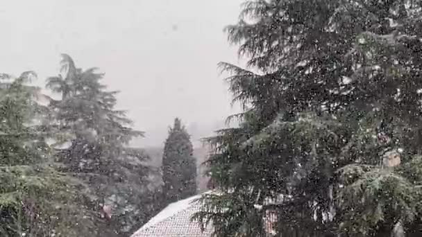 Chute Neige Sur Les Toits Bologne Vidéo 2022 Italie — Video