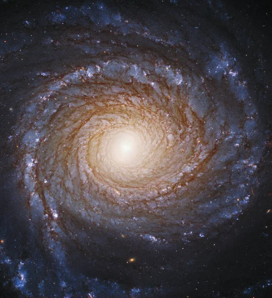 Galaxie Spirale Ngc 3147 Constellation Draco Éléments Cette Photo Fournis — Photo
