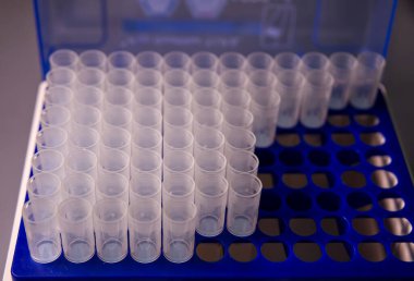 Eppendorf tüpü mikro pipet için mavi plastik askıda izole edildi.