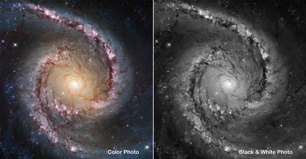 Color Black White Side Side Comparisons Galaxy Ncg 1566 Elements — стоковое фото