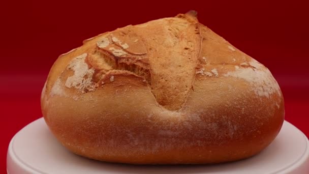 Vers Brood Van Apuliaans Brood Pugliese Ruit Draaiend Rode Achtergrond — Stockvideo