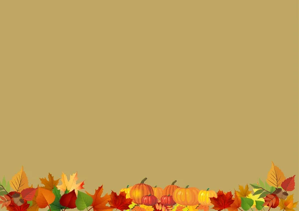 Podzimní Skladba Vzor Sušených Listů Byt Ležel Horní Pohled — Stock fotografie