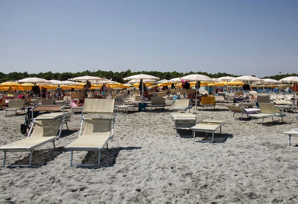 Punta Marina Terme Ravenna Italy Серпня 2022 Італійський Пляжний Вид — стокове фото