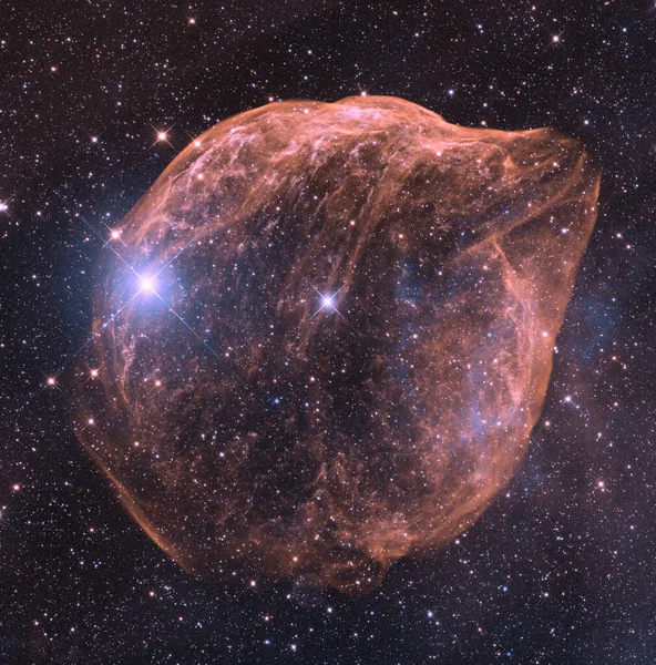 The Dolphin Head Nebula. Sharpless 308. Elements of this image were furnished by NASA.