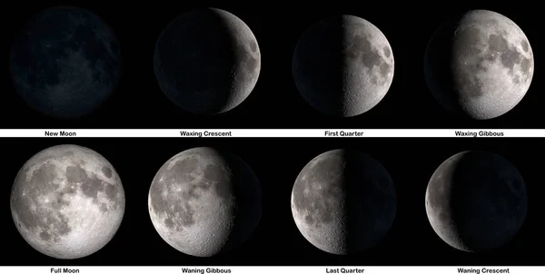 The phases of The Moon. Elements of this image were furnished by NASA.