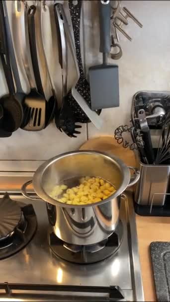 Panela Aço Fogo Com Massa Italiana Tortellini Dentro Fervendo Água — Vídeo de Stock